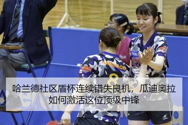 ha-lan-de-she-qu-dun-bei-lian-xu-cuo-shi-liang-ji-gua-di-ao-la-ru-he-ji-huo-zhe-wei-ding-ji-zhong-feng-2-340.jpg